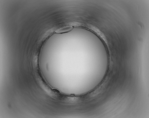 X0000110320057200906042052