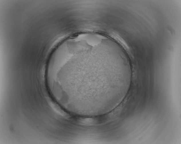 X0000110320058200906042052