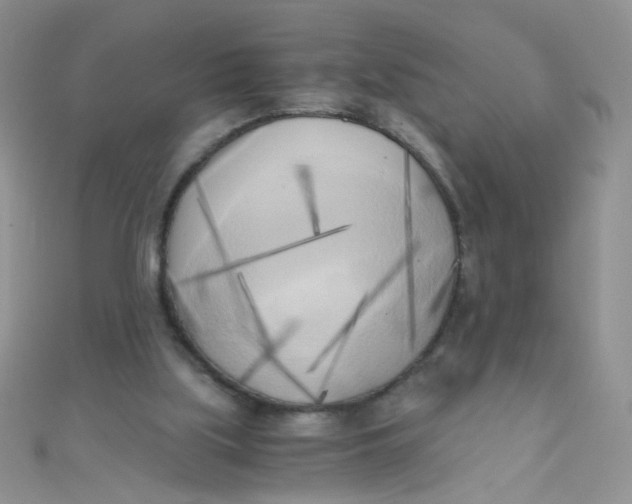 X0000110320059200906042052