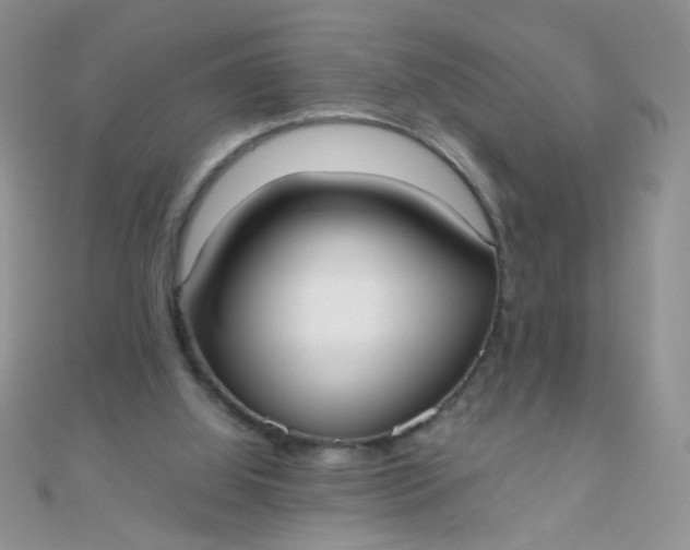 X0000110320060200906042052