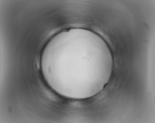 X0000110320062200906042052