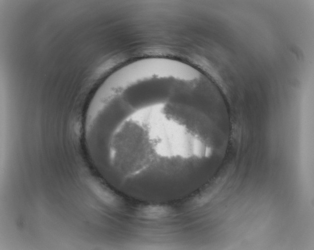 X0000110320063200906042052