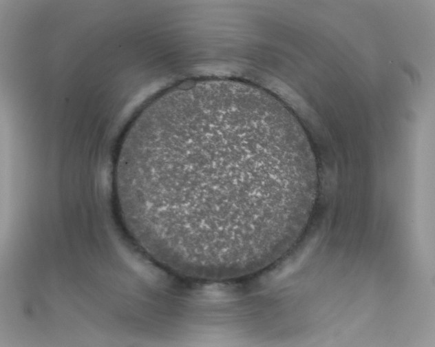 X0000110320064200906042052