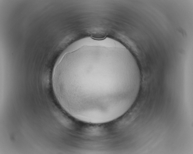 X0000110320065200906042052