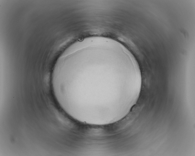 X0000110320066200906042052