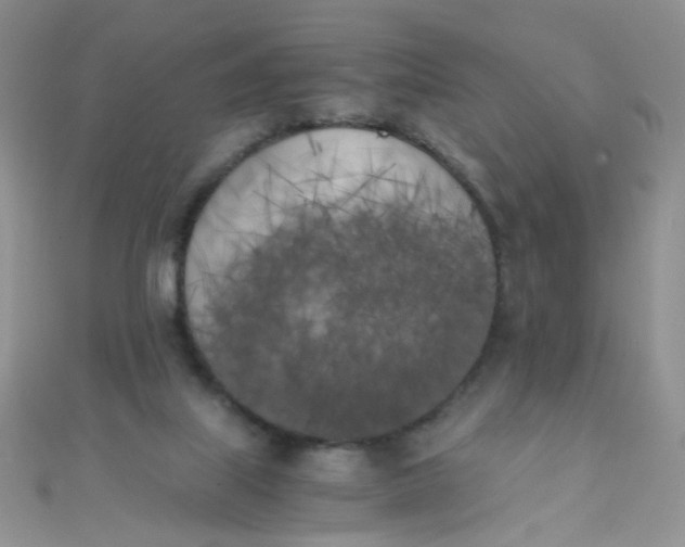 X0000110320067200906042052