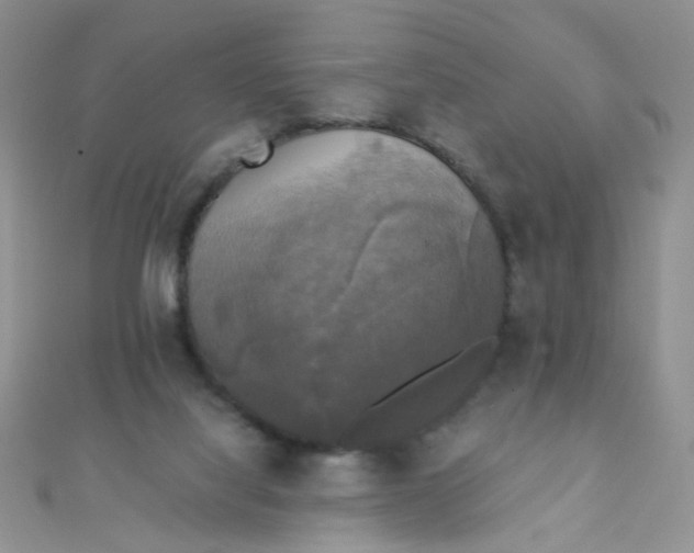 X0000110320068200906042052