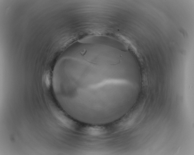 X0000110320069200906042052