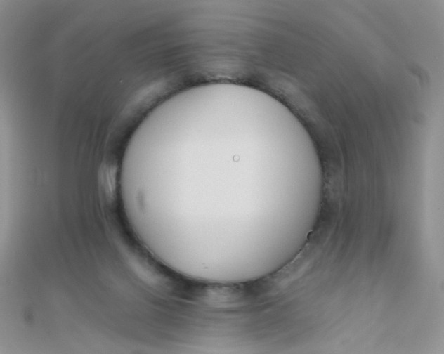 X0000110320070200906042052