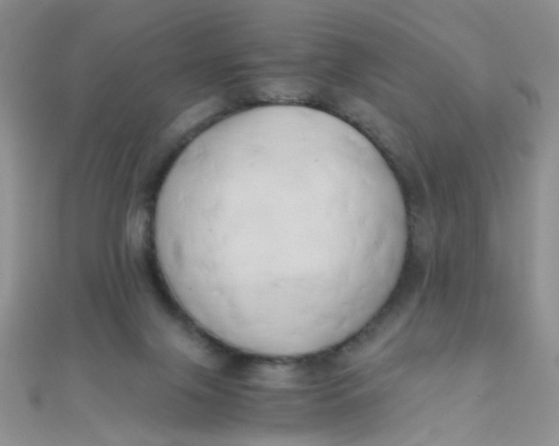 X0000110320071200906042052