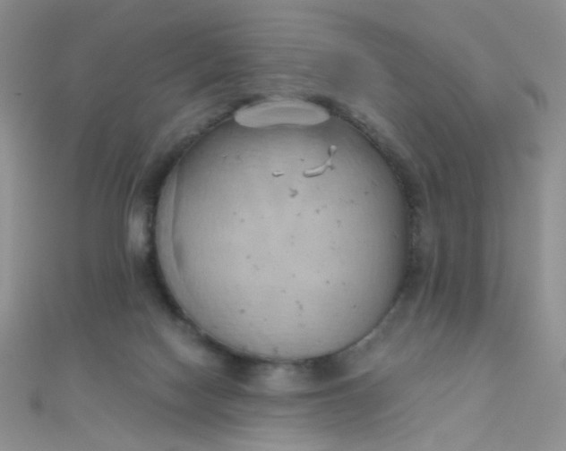 X0000110320074200906042052