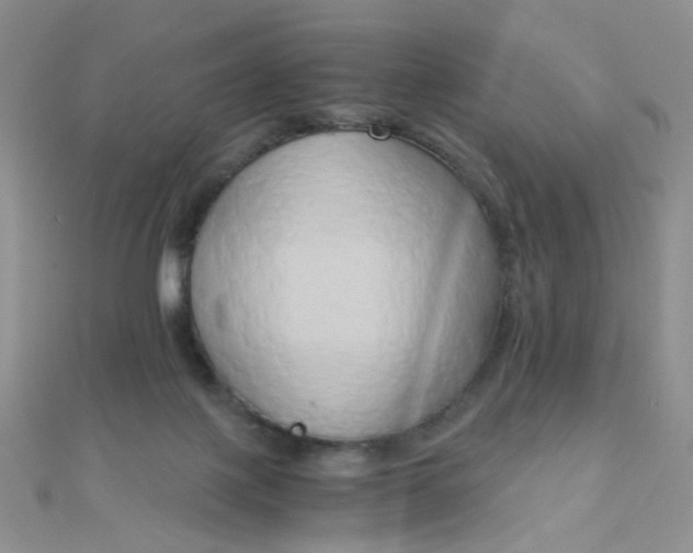 X0000110320075200906042052