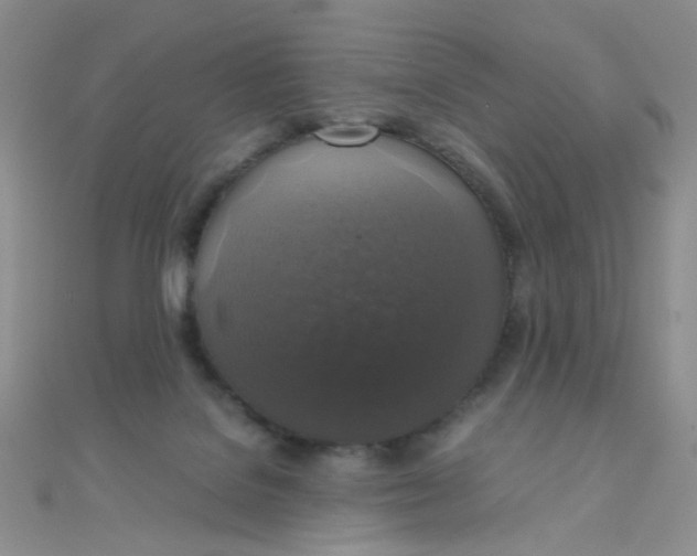 X0000110320076200906042052