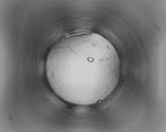 X0000110320077200906042052