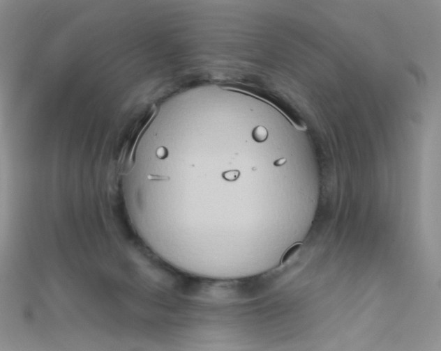 X0000110320078200906042052