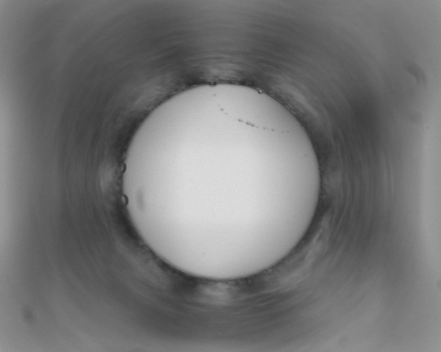 X0000110320079200906042052