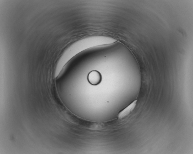 X0000110320080200906042052