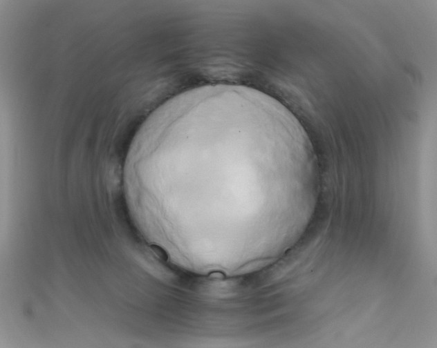 X0000110320081200906042052