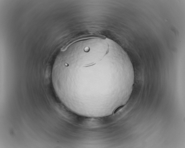 X0000110320082200906042052