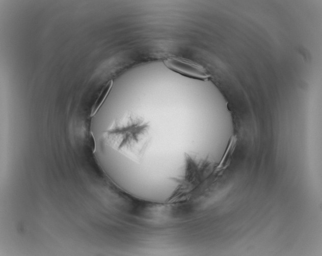 X0000110320084200906042052