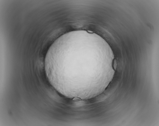 X0000110320085200906042052