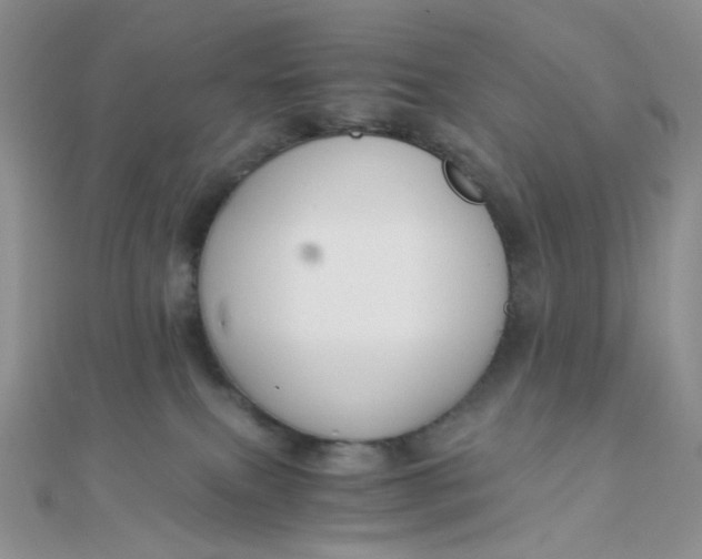 X0000110320087200906042052