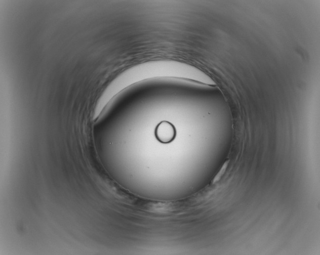 X0000110320088200906042052