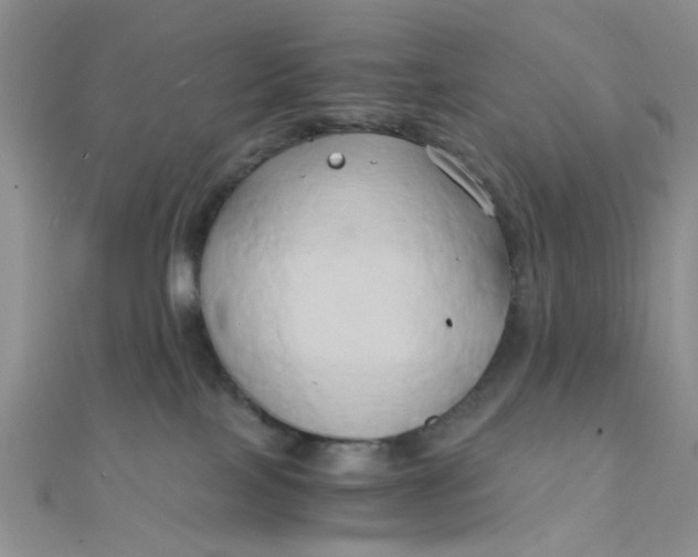 X0000110320089200906042052