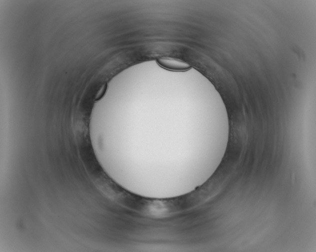 X0000110320091200906042052