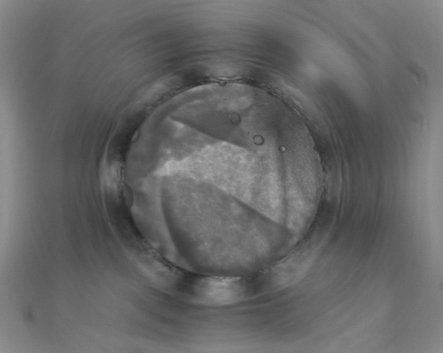 X0000110320093200906042052