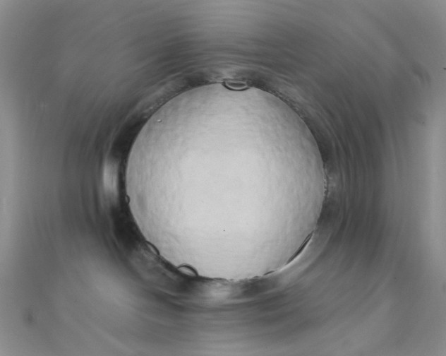 X0000110320094200906042052