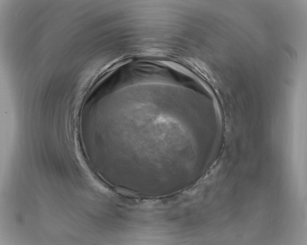 X0000110320097200906042052