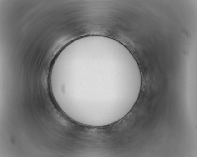 X0000110320098200906042052