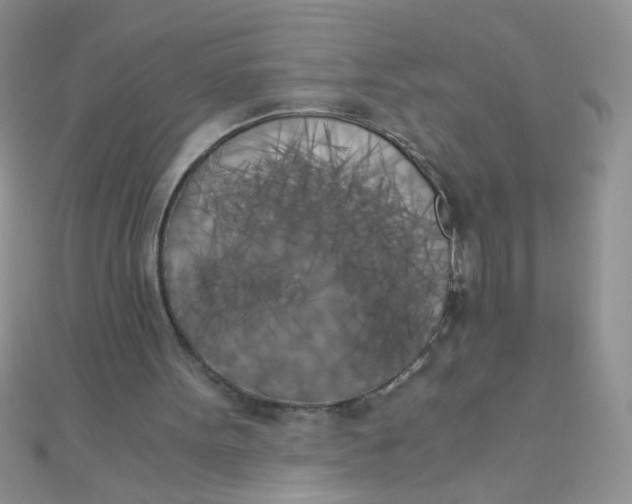 X0000110320099200906042052