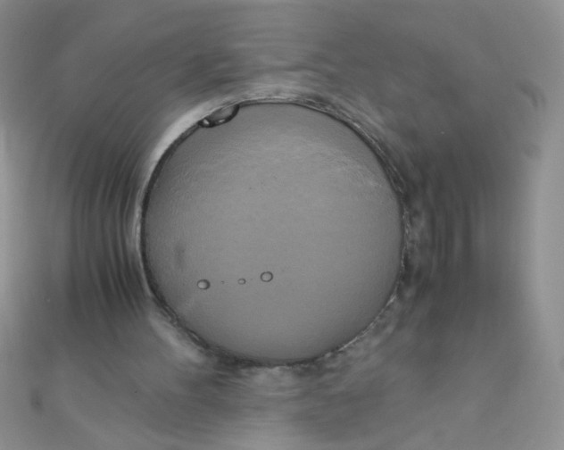 X0000110320100200906042052