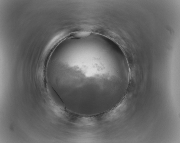 X0000110320101200906042051