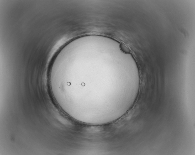 X0000110320102200906042051