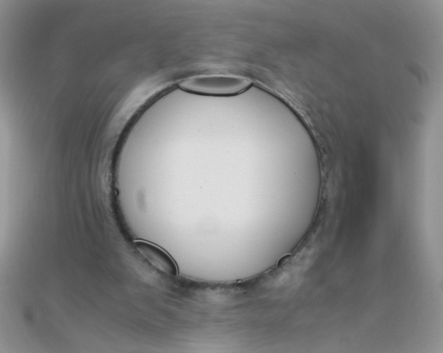 X0000110320103200906042051