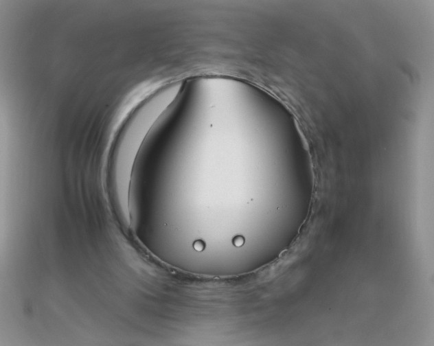 X0000110320104200906042051