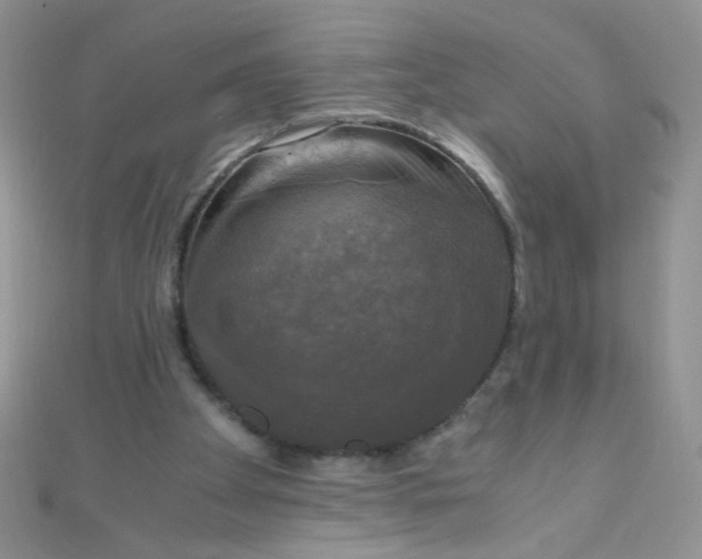 X0000110320105200906042051