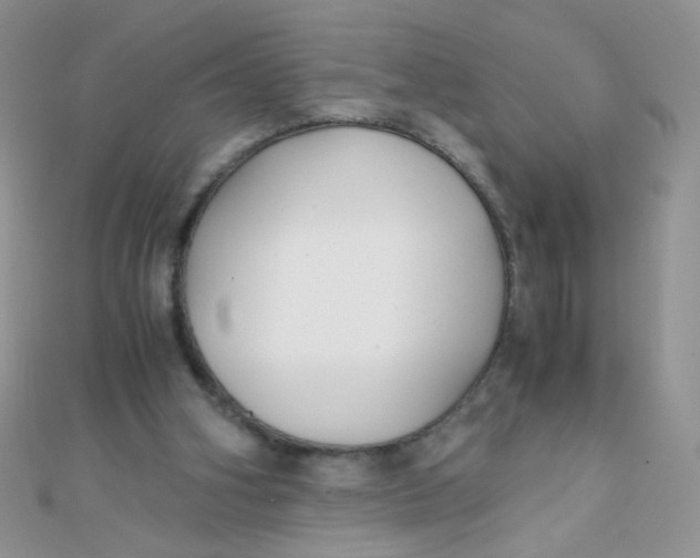 X0000110320106200906042051