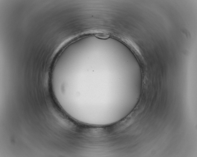 X0000110320108200906042051