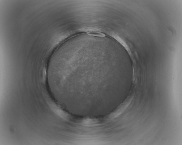 X0000110320109200906042051