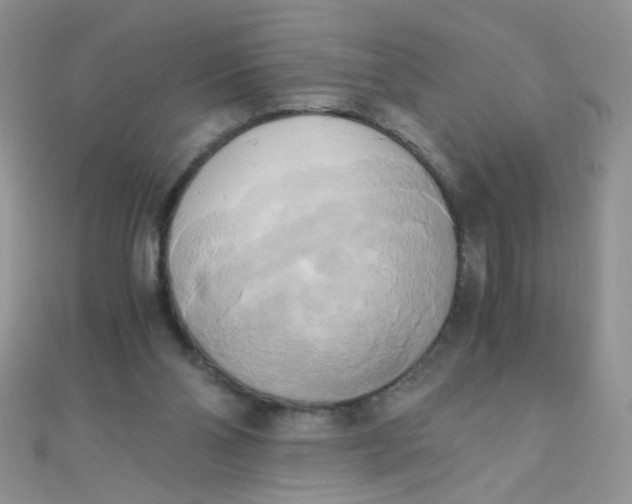 X0000110320110200906042051