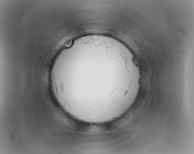 X0000110320111200906042051