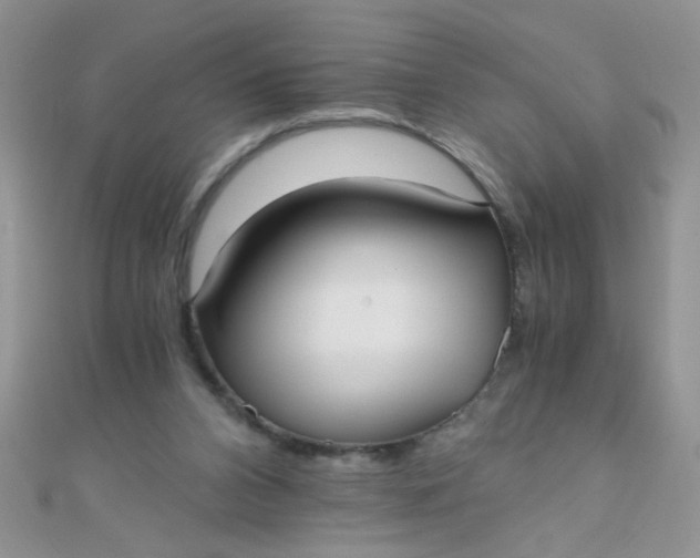 X0000110320112200906042051