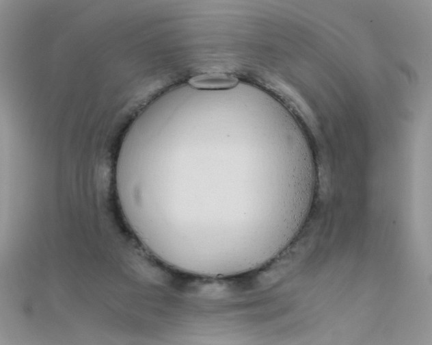 X0000110320113200906042051