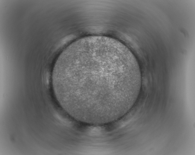 X0000110320115200906042051