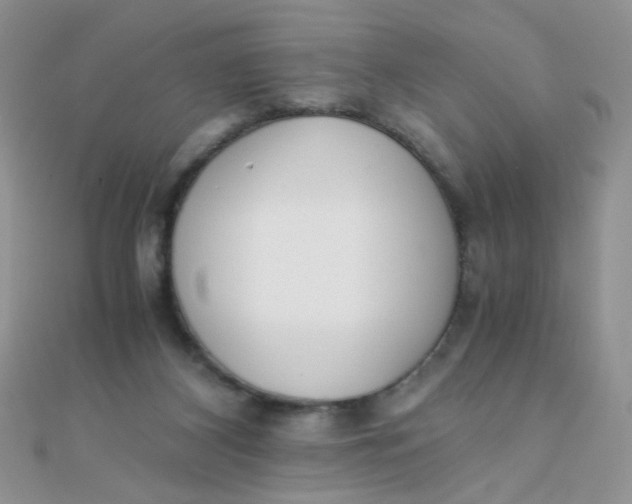 X0000110320116200906042051