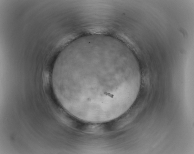 X0000110320117200906042051